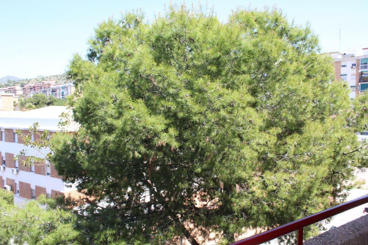 Apartamento Con Parking Gratuito Málaga Dış mekan fotoğraf